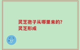 灵芝孢子从哪里来的？灵芝形成