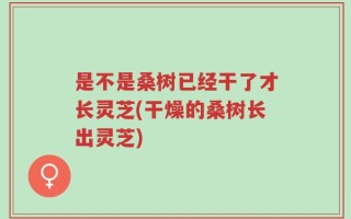 是不是桑树已经干了才长灵芝(干燥的桑树长出灵芝)