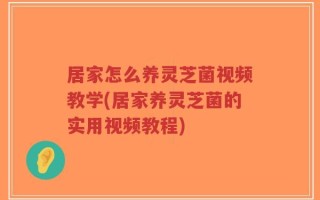 居家怎么养灵芝菌视频教学(居家养灵芝菌的实用视频教程)