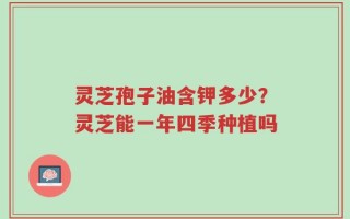 灵芝孢子油含钾多少？灵芝能一年四季种植吗