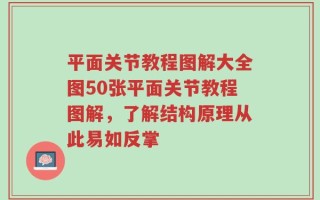 平面关节教程图解大全图50张平面关节教程图解，了解结构原理从此易如反掌