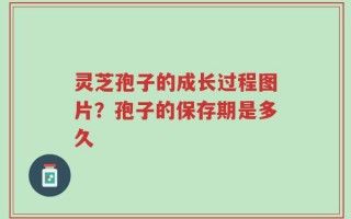 灵芝孢子的成长过程图片？孢子的保存期是多久