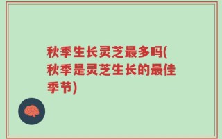 秋季生长灵芝最多吗(秋季是灵芝生长的最佳季节)
