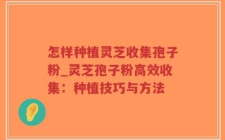 怎样种植灵芝收集孢子粉_灵芝孢子粉高效收集：种植技巧与方法