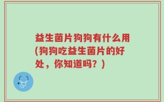 益生菌片狗狗有什么用(狗狗吃益生菌片的好处，你知道吗？)