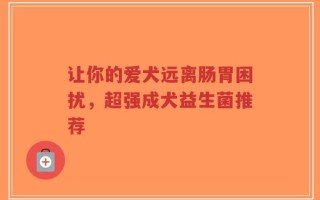 让你的爱犬远离肠胃困扰，超强成犬益生菌推荐