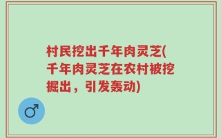 村民挖出千年肉灵芝(千年肉灵芝在农村被挖掘出，引发轰动)