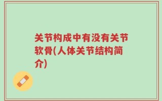 关节构成中有没有关节软骨(人体关节结构简介)