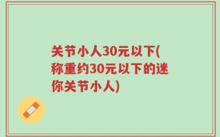 关节小人30元以下(称重约30元以下的迷你关节小人)