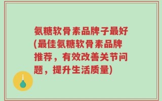 氨糖软骨素品牌子最好(最佳氨糖软骨素品牌推荐，有效改善关节问题，提升生活质量)