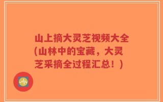 山上摘大灵芝视频大全(山林中的宝藏，大灵芝采摘全过程汇总！)