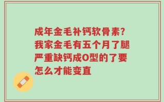 成年金毛补钙软骨素？我家金毛有五个月了腿严重缺钙成O型的了要怎么才能变直