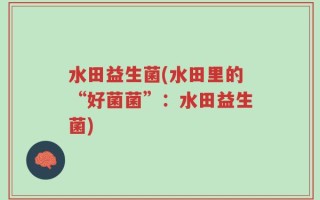 水田益生菌(水田里的“好菌菌”：水田益生菌)