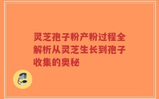 灵芝孢子粉产粉过程全解析从灵芝生长到孢子收集的奥秘