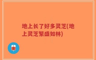 地上长了好多灵芝(地上灵芝繁盛如林)