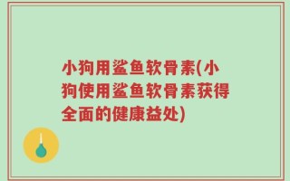 小狗用鲨鱼软骨素(小狗使用鲨鱼软骨素获得全面的健康益处)