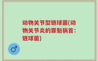 动物关节型链球菌(动物关节炎的罪魁祸首：链球菌)