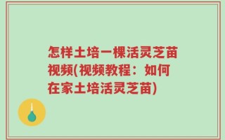 怎样土培一棵活灵芝苗视频(视频教程：如何在家土培活灵芝苗)