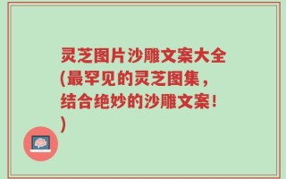 灵芝图片沙雕文案大全(最罕见的灵芝图集，结合绝妙的沙雕文案！)