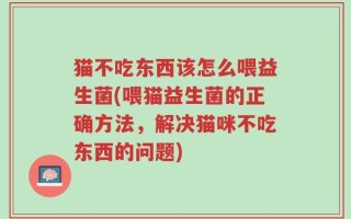 猫不吃东西该怎么喂益生菌(喂猫益生菌的正确方法，解决猫咪不吃东西的问题)