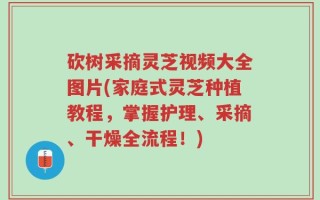 砍树采摘灵芝视频大全图片(家庭式灵芝种植教程，掌握护理、采摘、干燥全流程！)
