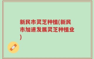 新民市灵芝种植(新民市加速发展灵芝种植业)