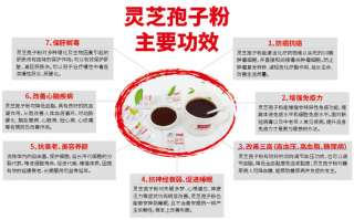 增强免疫力有什么好办法？吃灵芝孢子粉有用吗？