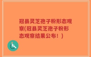 冠县灵芝孢子粉形态观察(冠县灵芝孢子粉形态观察结果公布！)