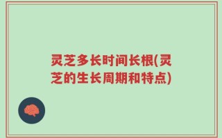 灵芝多长时间长根(灵芝的生长周期和特点)