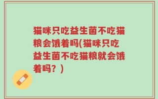 猫咪只吃益生菌不吃猫粮会饿着吗(猫咪只吃益生菌不吃猫粮就会饿着吗？)