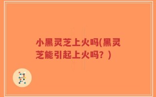 小黑灵芝上火吗(黑灵芝能引起上火吗？)