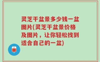 灵芝干盆景多少钱一盆图片(灵芝干盆景价格及图片，让你轻松找到适合自己的一盆)