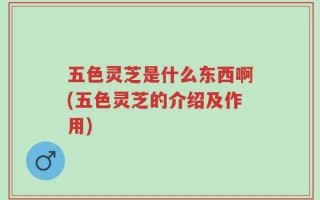 五色灵芝是什么东西啊(五色灵芝的介绍及作用)