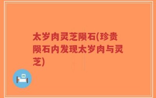 太岁肉灵芝陨石(珍贵陨石内发现太岁肉与灵芝)