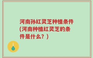 河南孙红灵芝种植条件(河南种植红灵芝的条件是什么？)
