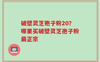 破壁灵芝袍子粉20？哪里买破壁灵芝孢子粉最正宗