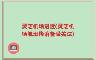 灵芝机场进近(灵芝机场航班降落备受关注)