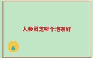 人参灵芝哪个泡茶好