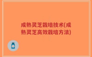 成熟灵芝栽培技术(成熟灵芝高效栽培方法)