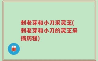 刺老芽和小刀采灵芝(刺老芽和小刀的灵芝采摘历程)