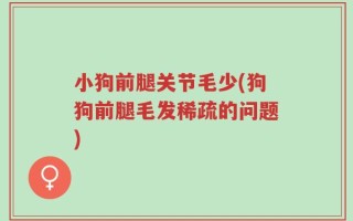 小狗前腿关节毛少(狗狗前腿毛发稀疏的问题)