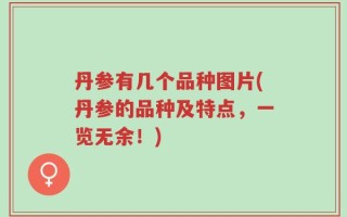 丹参有几个品种图片(丹参的品种及特点，一览无余！)