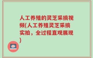 人工养殖的灵芝采摘视频(人工养殖灵芝采摘实拍，全过程直观展现)