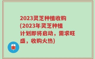 2023灵芝种植收购(2023年灵芝种植计划即将启动，需求旺盛，收购火热)