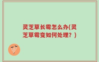 灵芝草长霉怎么办(灵芝草霉变如何处理？)