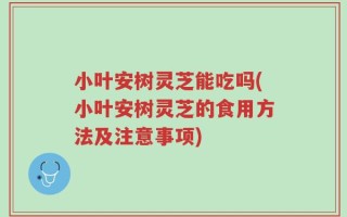 小叶安树灵芝能吃吗(小叶安树灵芝的食用方法及注意事项)