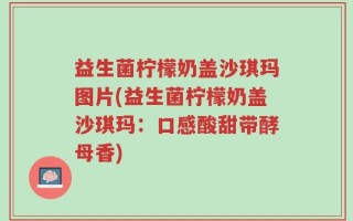 益生菌柠檬奶盖沙琪玛图片(益生菌柠檬奶盖沙琪玛：口感酸甜带酵母香)