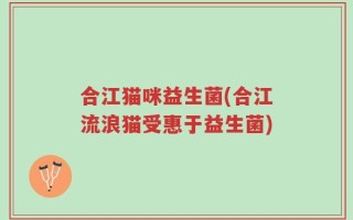 合江猫咪益生菌(合江流浪猫受惠于益生菌)