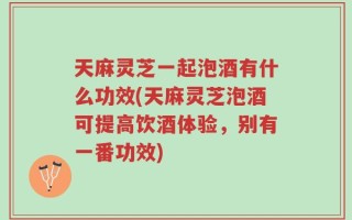 天麻灵芝一起泡酒有什么功效(天麻灵芝泡酒可提高饮酒体验，别有一番功效)