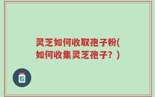 灵芝如何收取孢子粉(如何收集灵芝孢子？)